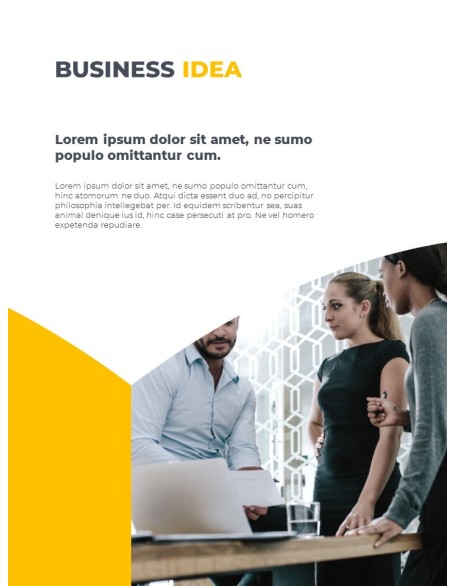 Startup Business Plan Presentation Format