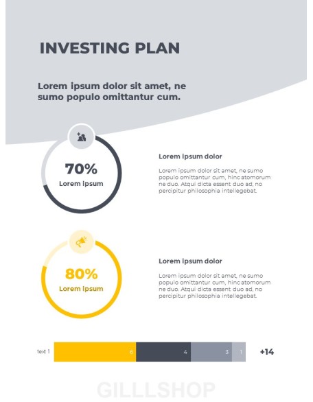 Startup Business Plan Presentation Format