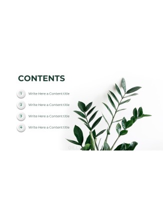 Summer Green Interior Slide PPT