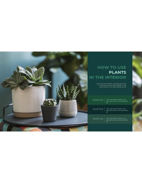Summer Green Interior Slide PPT