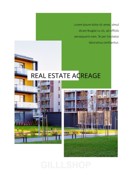 Real estate Business PPT