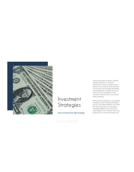 Investment Techniques Templates for PowerPoint