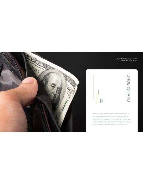 The Exchange Rate and Economic Growth Themes for PowerPoint