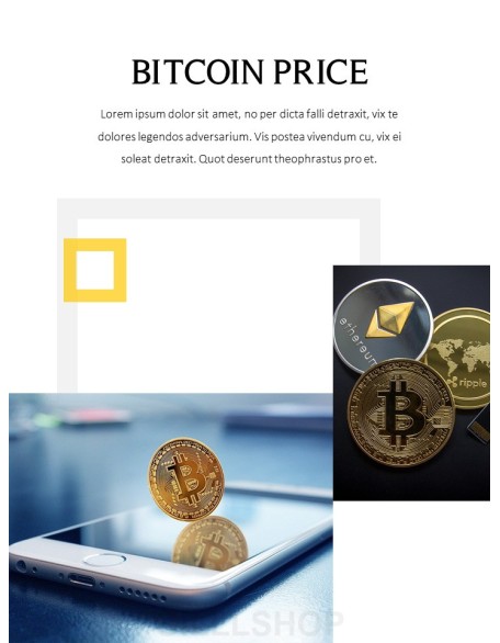 Bitcoin Best PPT Design