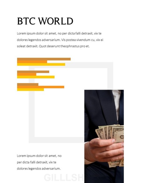 Bitcoin Best PPT Design