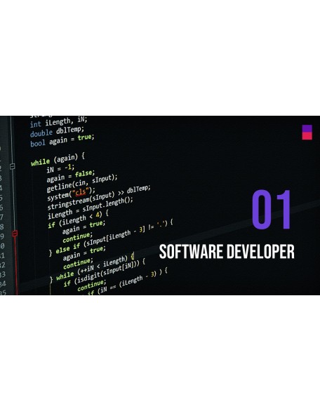 Software Developer Templates PPT