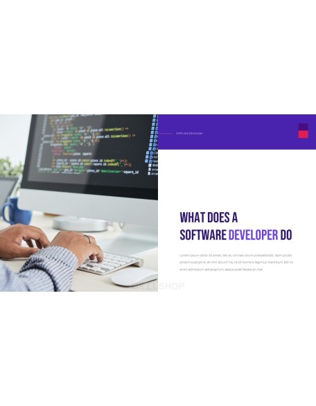 Software Developer Templates PPT