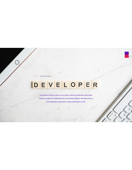 Software Developer Templates PPT