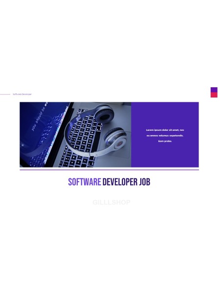 Software Developer Templates PPT