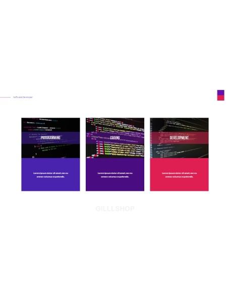 Software Developer Templates PPT