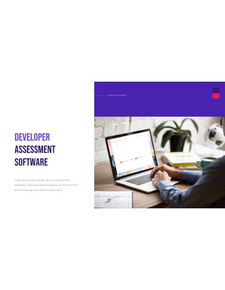 Software Developer Templates PPT