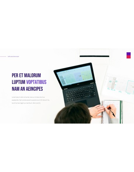 Software Developer Templates PPT