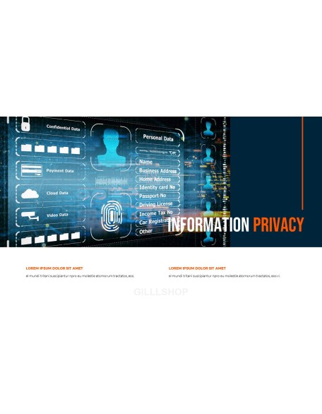 Information Privacy Action plan PPT