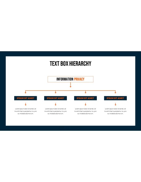 Information Privacy Action plan PPT