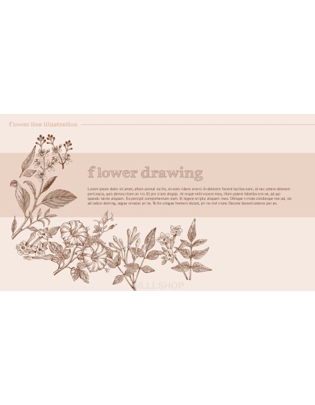 Flower Illustration premium PowerPoint Templates