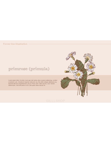 Flower Illustration premium PowerPoint Templates