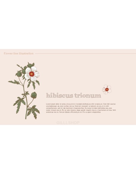 Flower Illustration premium PowerPoint Templates