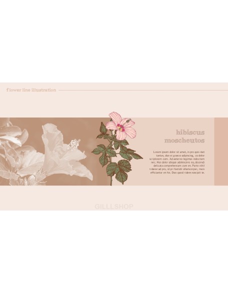 Flower Illustration premium PowerPoint Templates