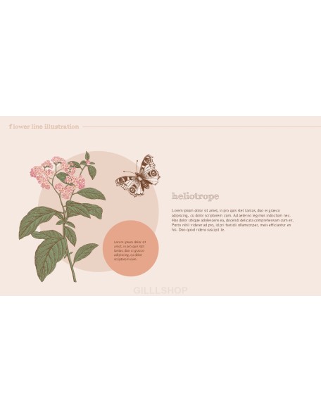 Flower Illustration premium PowerPoint Templates