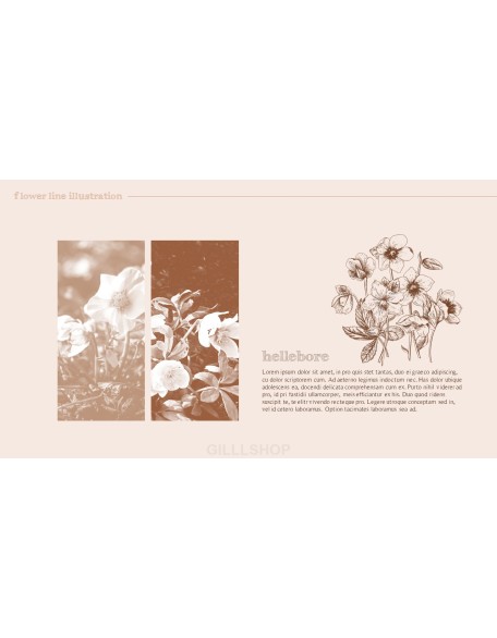 Flower Illustration premium PowerPoint Templates