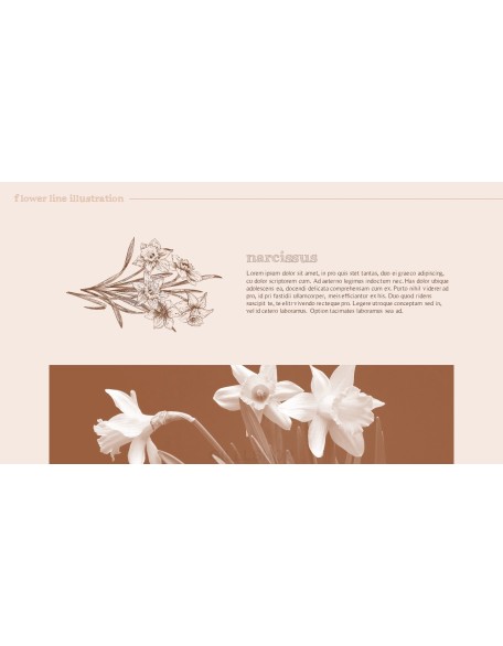 Flower Illustration premium PowerPoint Templates