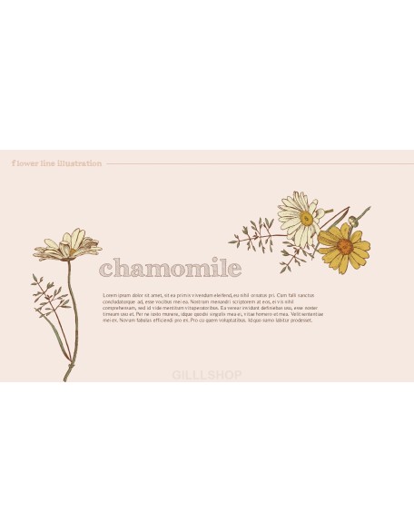 Flower Illustration premium PowerPoint Templates