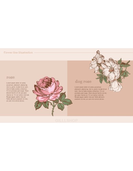 Flower Illustration premium PowerPoint Templates