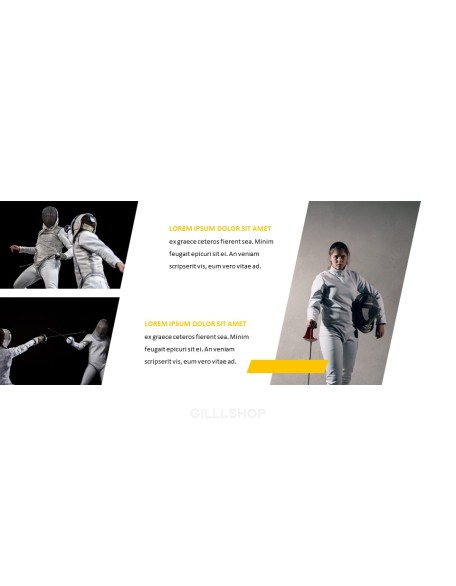 Fencing Presentation PPT