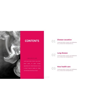 Lung Health Care PPT Presentation