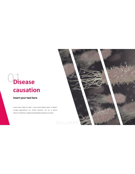Lung Health Care PPT Presentation