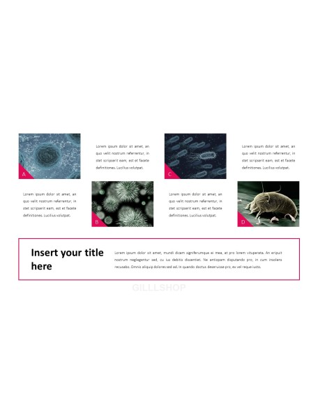 Lung Health Care PPT Presentation