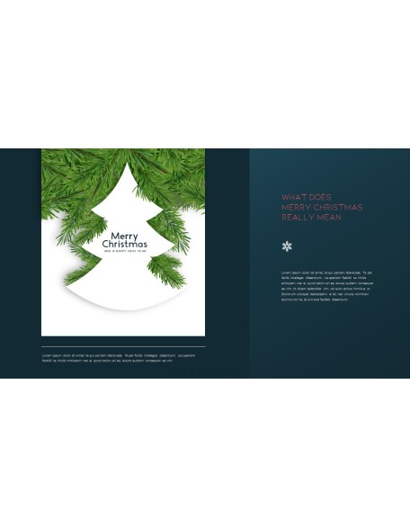 Hope you have a wonderful christmas Modern PPT Templates