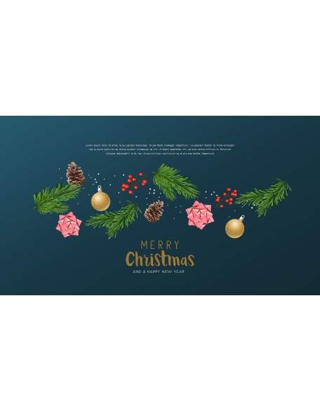 Hope you have a wonderful christmas Modern PPT Templates