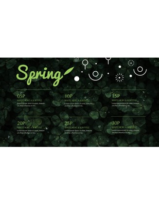 Spring Song Business Presentation Examples