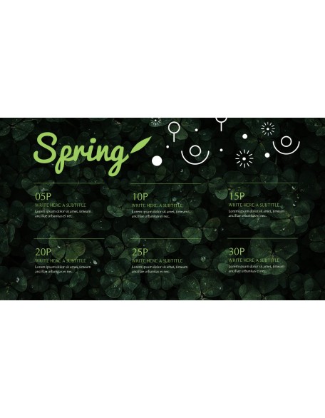 Spring Song Business Presentation Examples