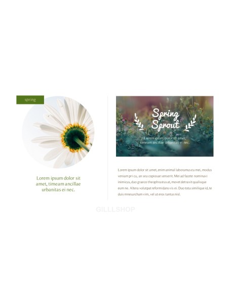 Spring Song Business Presentation Examples