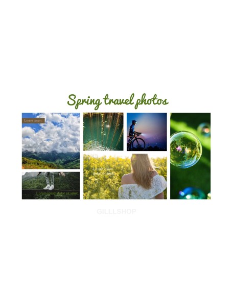 Spring Song Business Presentation Examples