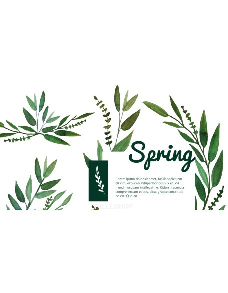 Spring Song Business Presentation Examples