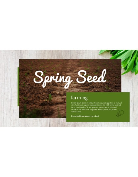 Spring Song Business Presentation Examples