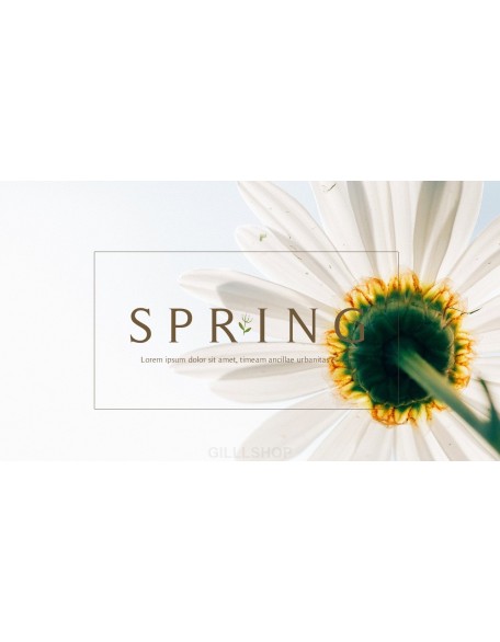 Spring Song Business Presentation Examples