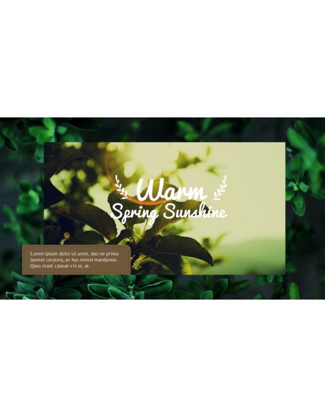 Spring Song Business Presentation Examples