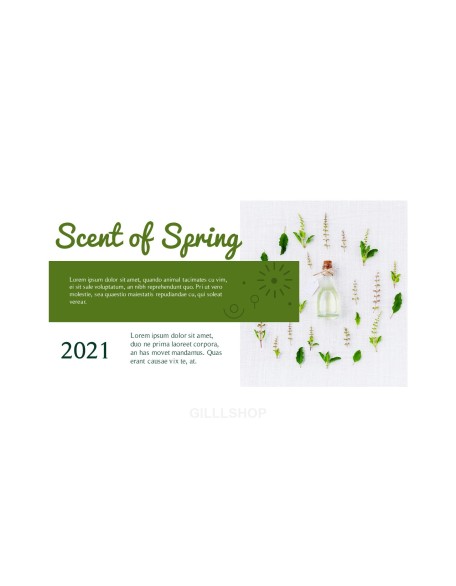 Spring Song Business Presentation Examples