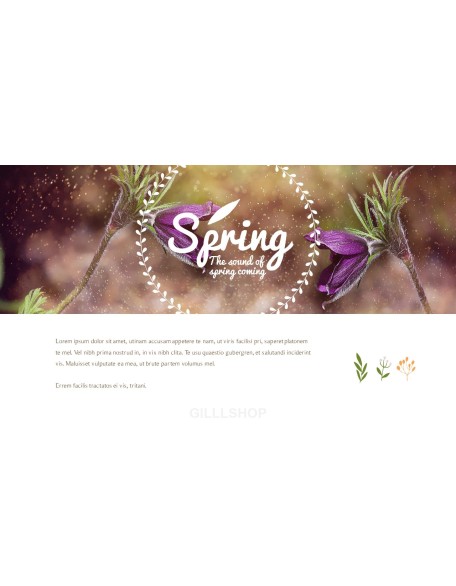 Spring Song Business Presentation Examples