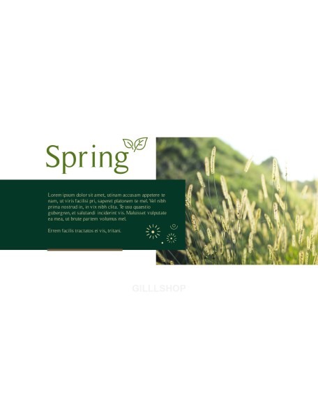 Spring Song Business Presentation Examples