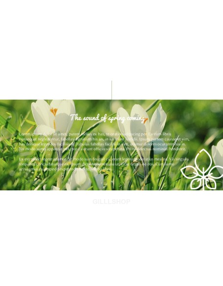 Spring Song Business Presentation Examples