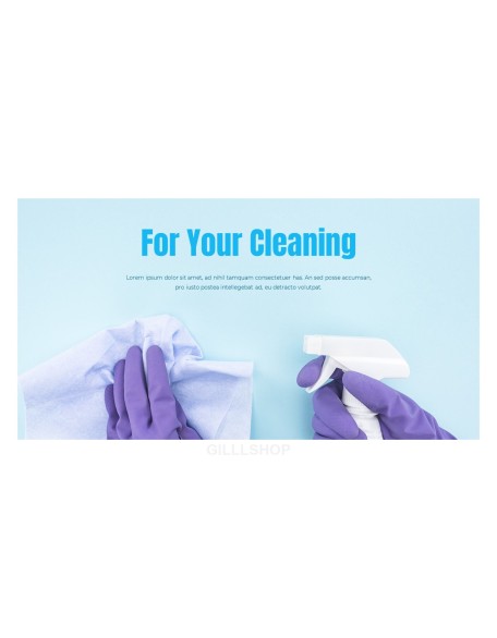 House Cleaning Service PPT Templates Design