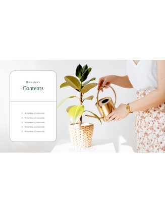 Home Plant’s Presentation Templates Design