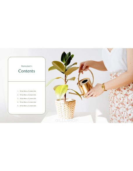 Home Plant’s Presentation Templates Design