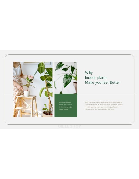 Home Plant’s Presentation Templates Design