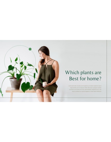 Home Plant’s Presentation Templates Design